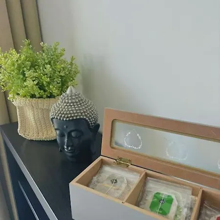 Alexander Playa De Américas